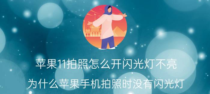 苹果11拍照怎么开闪光灯不亮 为什么苹果手机拍照时没有闪光灯？